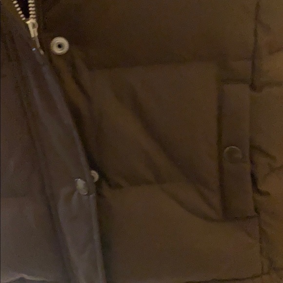 Gap puffer vest - Picture 5 of 8